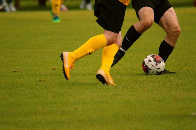 球队采用了 球队采用了