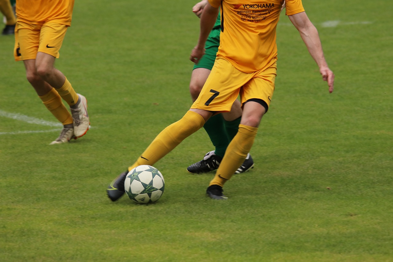 探析多特蒙 探析多特蒙